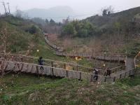 a group of people walking on a wooden bridge on a hill at Ming Yang B&amp;B in Fenqihu