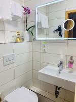 a bathroom with a sink and a mirror and a toilet at Pension Karina Schwerin in Schwerin