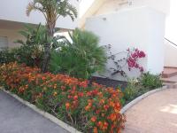 Vonkajšia záhrada v ubytovaní APARTAMENTO JUNTO AL MAR EN LA COSTA DE ALMERIA
