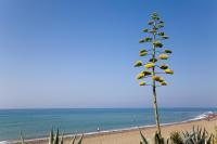 Apt 322 Heaven Beach Apartments, Guadalmansa Playa, Estepona ...