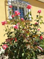 A garden outside La Verdevilla