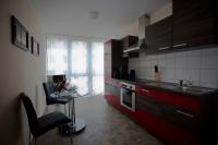 Kuchyň nebo kuchyňský kout v ubytování Apartments Hotel Petersburg