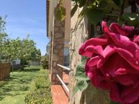 Zahrada ubytování Villa Maria, Terrace & Pool