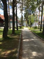 Przyroda w pobliżu tego apartamentu