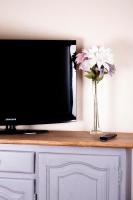 Una televisión o centro de entretenimiento en Apartamentos Vista Veleta