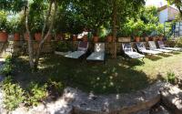 A garden outside Cactus