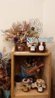 a shelf filled with lots of plants and flowers at Sweet Rainbow B&amp;B in Hualien City