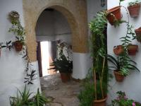 a hallway with potted plants on the wall at Casa Sol in Vejer de la Frontera