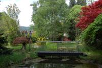 Příroda nedaleko bed and breakfast