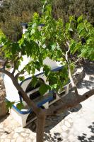A garden outside Theaktis Homes