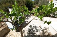 A garden outside Theaktis Homes