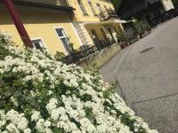 Zahrada ubytování Rettensteinerhof Wirtshaus