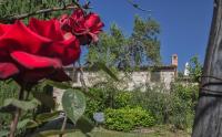 Vonkajšia záhrada v ubytovaní Relais Santa Cristina