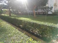 Zahrada ubytování Parque IV Solo Familias Serviplaya