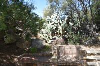 A garden outside Domus Carlotta Apartment with sea view Villasimius