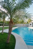 Bazén v ubytování Spa Jardines de Lorca nebo v jeho okolí