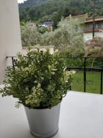 Nespecifikovaný výhled na hory nebo výhled na hory při pohledu z hotelu