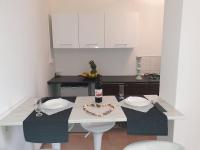A kitchen or kitchenette at HOLIDAY APARTAMENTS