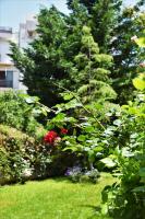 A garden outside Avgi Garden House Chania with private entrance