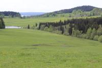 Příroda nedaleko apartmánu