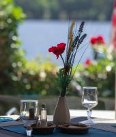 ein Tisch mit einer Vase mit einer roten Rose darin in der Unterkunft Logis Hotel du Lac in Neuvic