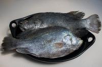 Φωτογραφία από το άλμπουμ του Awatawaa Ecolodge σε La Punta de los Remedios