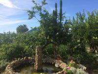 Jardín al aire libre en Casa Baleso