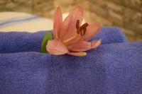 Půdorys ubytování Myrtis Spa Hotel
