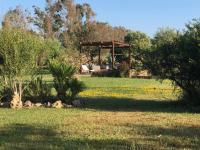 A garden outside Villa Arzilla Sardegna