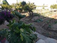 Jardín al aire libre en Casa Baleso