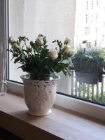 Plán poschodí v ubytovaní Apartament Downtown