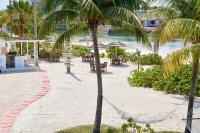 een strand met tafels en stoelen en een palmboom bij Sandyport Beach Resort in Nassau