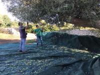 Hostia v ubytovaní Casa Farfaglia