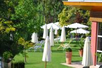 a group of white umbrellas and chairs on the grass at Hotel Stenitzer in Bad Gleichenberg