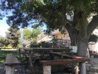 A garden outside Comfortable Apartment Near The Sea