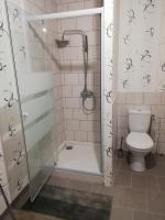 a bathroom with a shower and a toilet at Paille de blé in Courbouzon