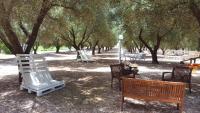 A garden outside Agriturismo La Rondine