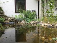 a pond in front of a house at Ferienwohnung Schug in Homburg