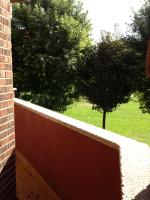 Zahrada ubytování Apartamentos Turisticos Puerta de León
