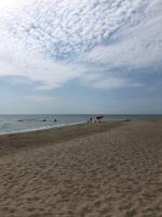 a beach with an umbrella and people in the water at Apartment near the sea in Gribovka