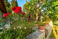 A garden outside Casa delle rose