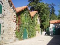 a building covered in ivy with a green door at Parador Casa Da Insua in Penalva do Castelo