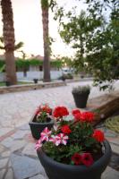 Plán poschodí v ubytovaní Margarita Hotel - All Inclusive