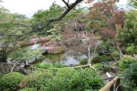 ホテルの近くで見られる自然の景観