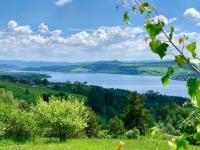 Príroda v okolí horskej chaty