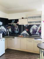 Kuchyň nebo kuchyňský kout v ubytování I love Heviz Apartments