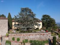 Ogród w obiekcie Villa Leoni