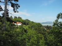 Príroda v okolí penziónu