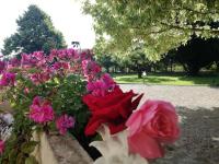 Vonkajšia záhrada v ubytovaní B&B Villa Napoli