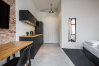 Kuchnia lub aneks kuchenny w obiekcie Loft Apartments Poznań
